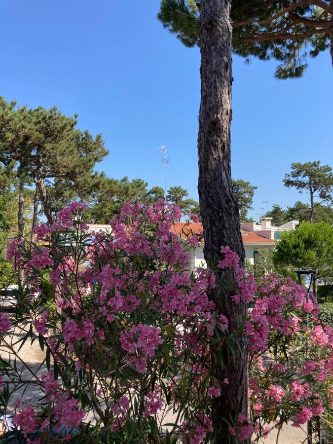 Villa Vittoria Lignano Sabbiadoro Kültér fotó